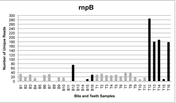 Figure 4. The number of unique reads for single- and multi-locus sequencing of rpoB . Comparison of the number of unique rpoB reads generated from samples in which amplicons from four loci were pooled (gray) and those submitted for sequencing singly (black