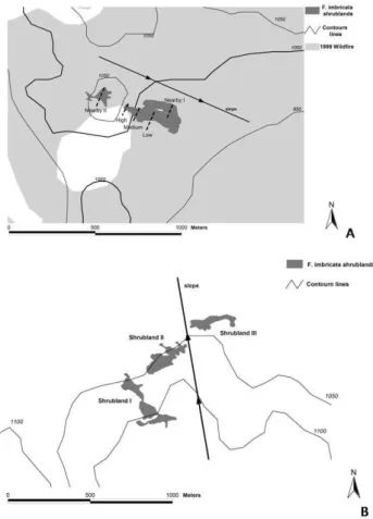 Fig. 5. Spatial distribution of shrubs ages in both study sites. (A).