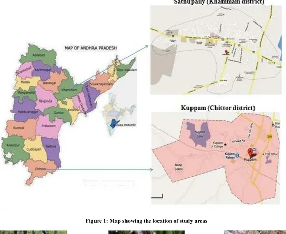 Figure 1: Map showing the location of study areas 