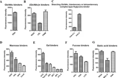 Fig 5. Relative expression levels of DENV-2 glycan binders by lectin microarray. The glycans binders were categorized into five types