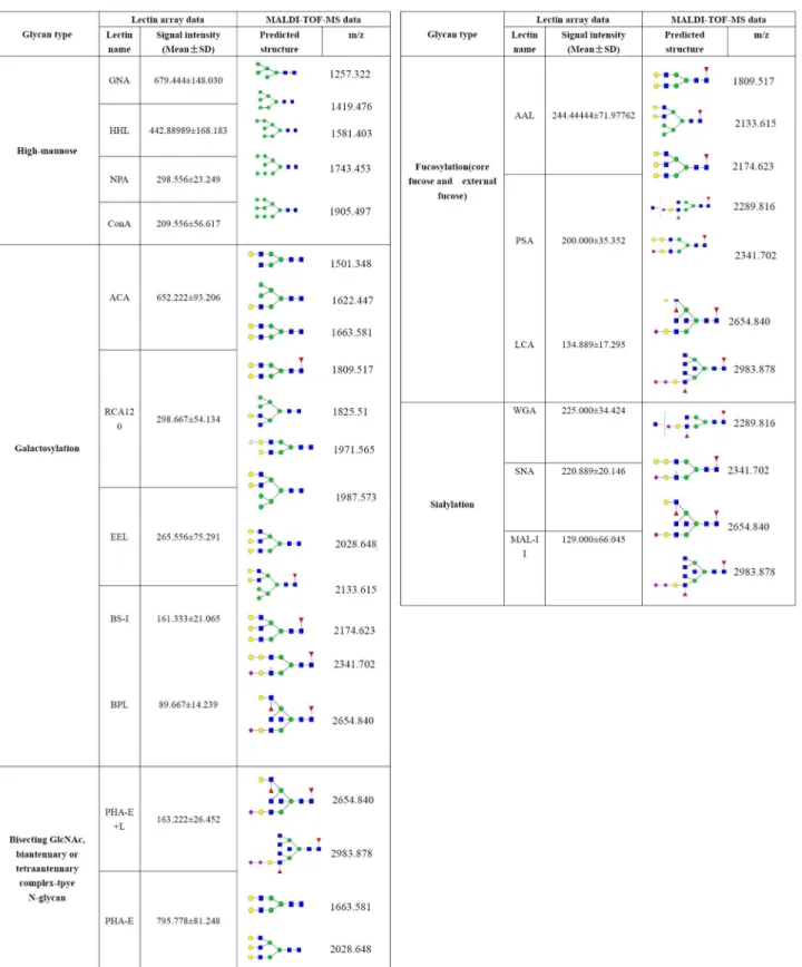 Fig 11. The proposed structural information of glycan on the surface of mature DENV-2 revealed by Mass Spectrometry and lectin microarray analysis.
