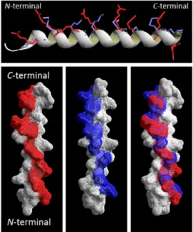 Table 1. Primary structure and physical properties of peptide p5 and p5R.