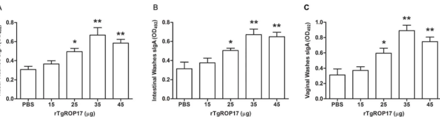 Figure 4. The tachyzoite burdens and survival rates of rTgROP17-immunised mice after oral challenge with T