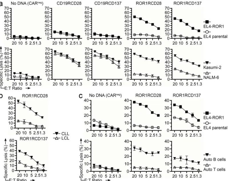 Fig 5. Specific cytolysis of ROR1 + tumor cells by CAR + T cells. Four-hour chromium release assay was used to assess specific lysis by T cells at decreasing effector to target (E:T) ratios