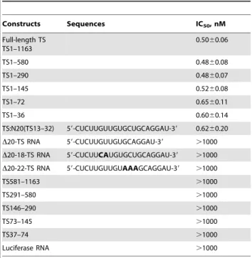 Figure 4. Secondary structure of TS:N20. A, Secondary structure for the zebrafish TS RNA sequence corresponding to nt 13–32, TS:N20, which was predicted with the RNA MFold program, generating a  stem-loop secondary structure