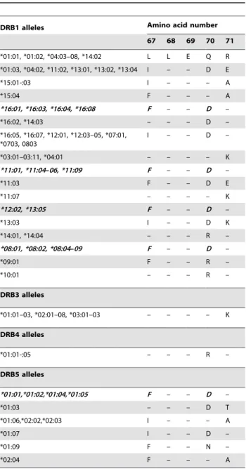 Table 1. Shared amino acid sequences of the most common DRß chains.