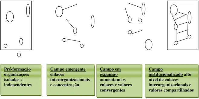 Figura 5 – Formação de um campo organizacional 
