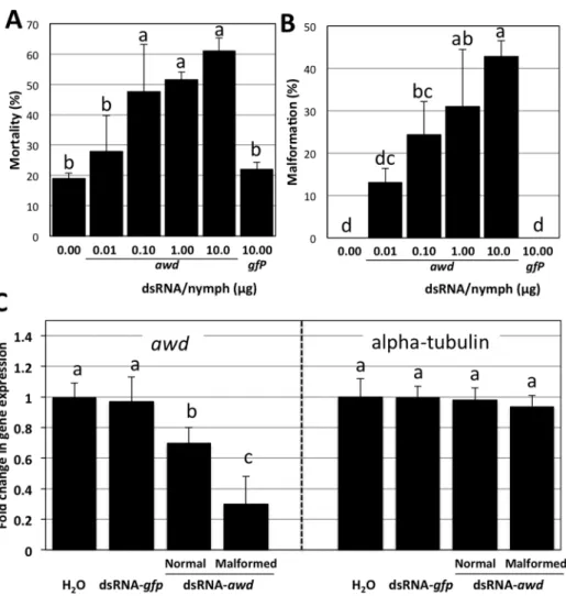 Figure 3. Effects of dsRNA- awd on ACP mortality and malformation. Mortality of 5 th instar of nymphs treated with different amount of dsRNA (A)