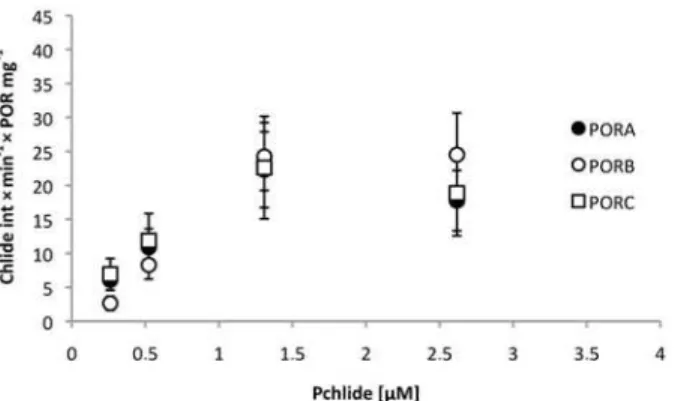 Fig 8. Relative activity of the POR proteins, defined as the increase in Chlide fluorescence intensity per time unit and per protein concentration (in mg), calculated for different Pchlide concentrations.