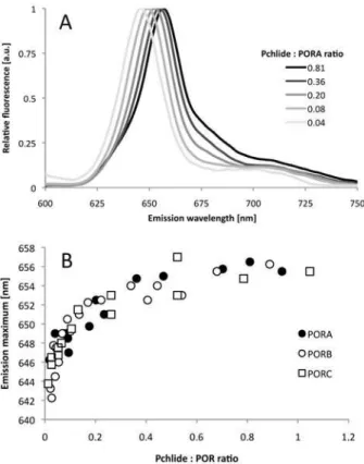 Fig 2. Fluorescence studies of reaction mixtures containing PORA, Pchlide, and NADPH (A) Representative 77 K fluorescence emission spectra; the Pchlide:PORA ratio is shown in the legend.