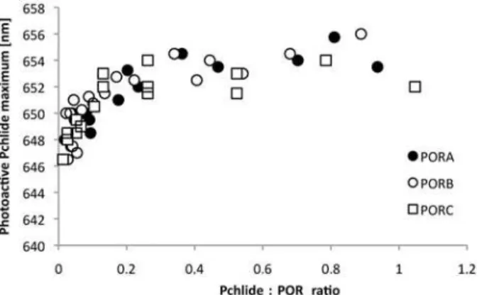 Fig 5. The dependence of the maximum of the photoactive Pchlide-POR-NADPH complexes on the Pchlide:POR ratio
