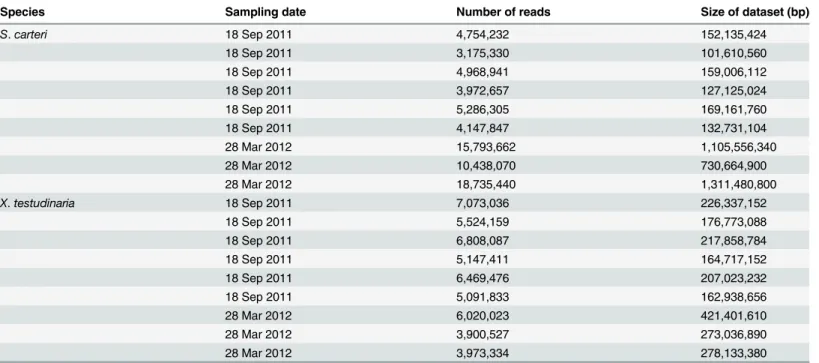 Table 1. The statistics of reads used for the miRNA identification.