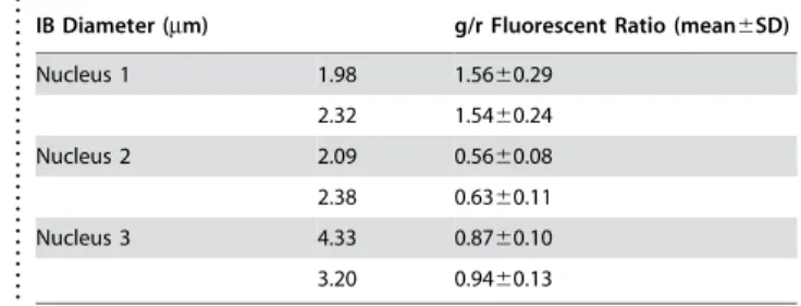 Table 1. Green/Red Fluorescence ratios in IBs of DsRed1-E5- DsRed1-E5-ataxin-1 IBs.