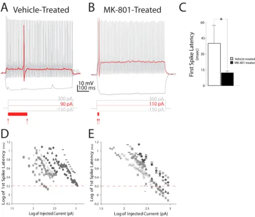 Figure 1. Postnatal NMDA receptor blockade decreases first-spike latency in neocortical layer IV FSIs