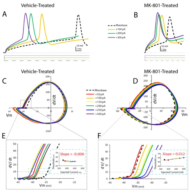 Figure 2. Postnatal NMDA receptor blockade destabilizes spike threshold in neocortical layer IV FSIs