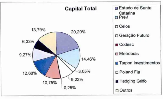 Gráfico 7:  Participação  no capital total em 30/09/2008  Fonte:  Adaptado de  Celesc (2008) 