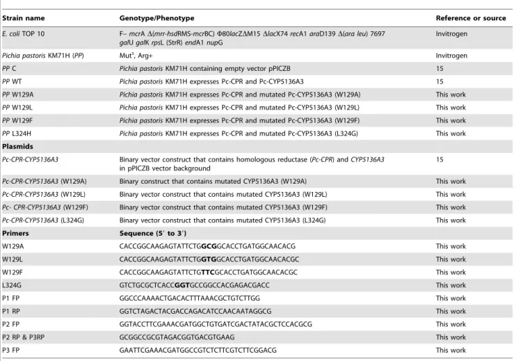 Table 1. Strains, plasmids and primers used in this study.