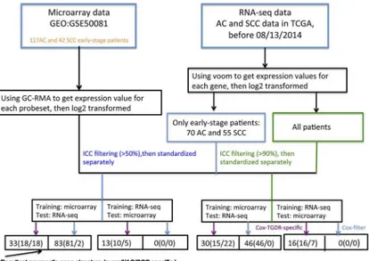 Fig 1. Study schema. A graphical illustration showed how Cox-TGDR-specific and Cox-filter were applied to select relevant subtype-specific prognostic genes for AC and SCC lung cancer.