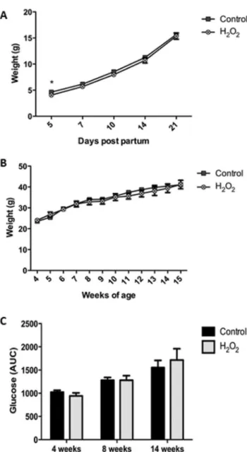 Figure 3. Effect of treatment of sperm with 1500 mM H 2 O 2 on male offspring weight gain and glucose tolerance