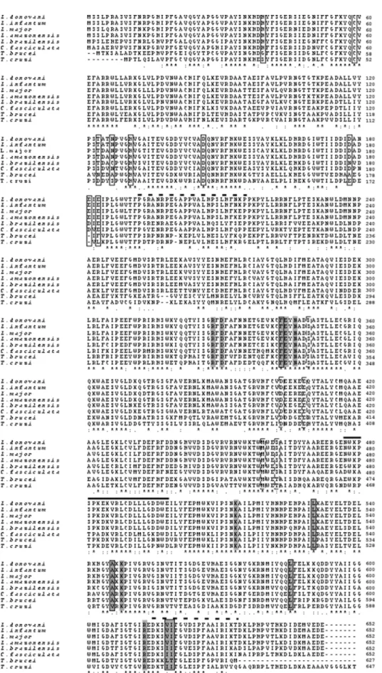 Figure 2. Multiple sequence alignments of deduced amino acid sequences of TryS from L