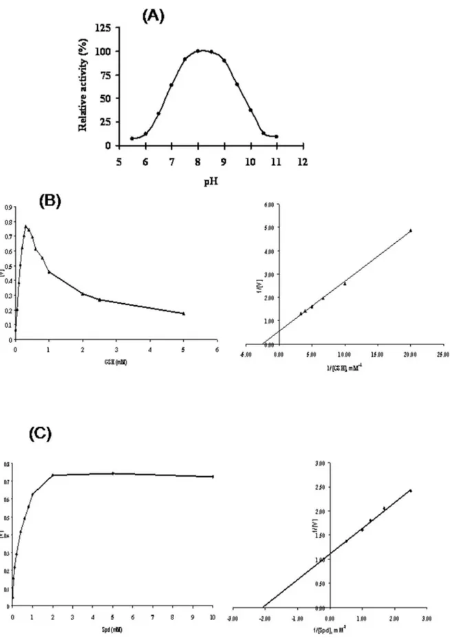 Figure 3. Enzymatic analysis of recombinant purified LdTryS. (A) pH profile using a coupled assay in a mixed buffer system