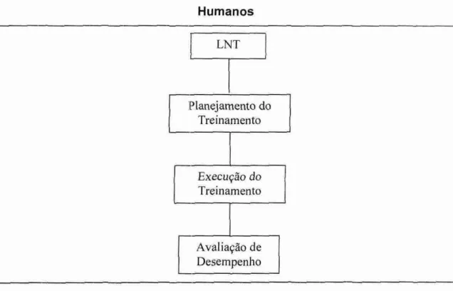 Figura  06:  Processo de Treinamento  e Desenvolvimento  de  Recursos  Humanos 