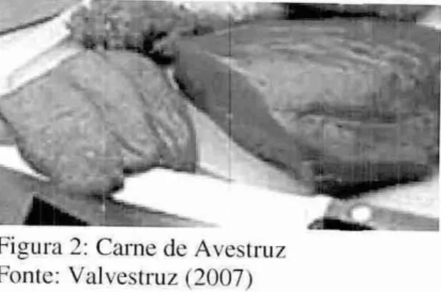 Figura 2:  Carne de Avestruz  Fonte: Valvestruz (2007)  4.3.3.1.2   Plumas 