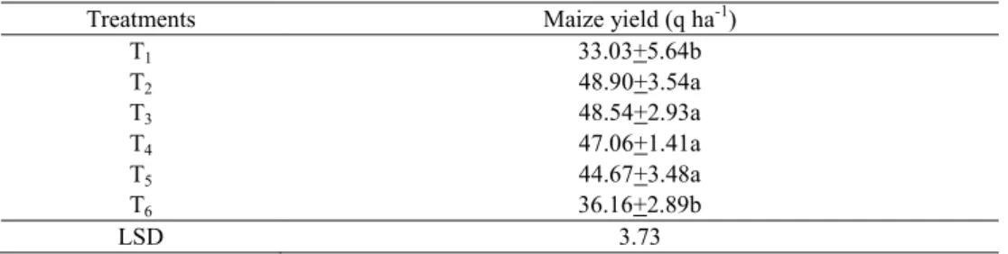 Table 5. Maize yield under different N levels. 