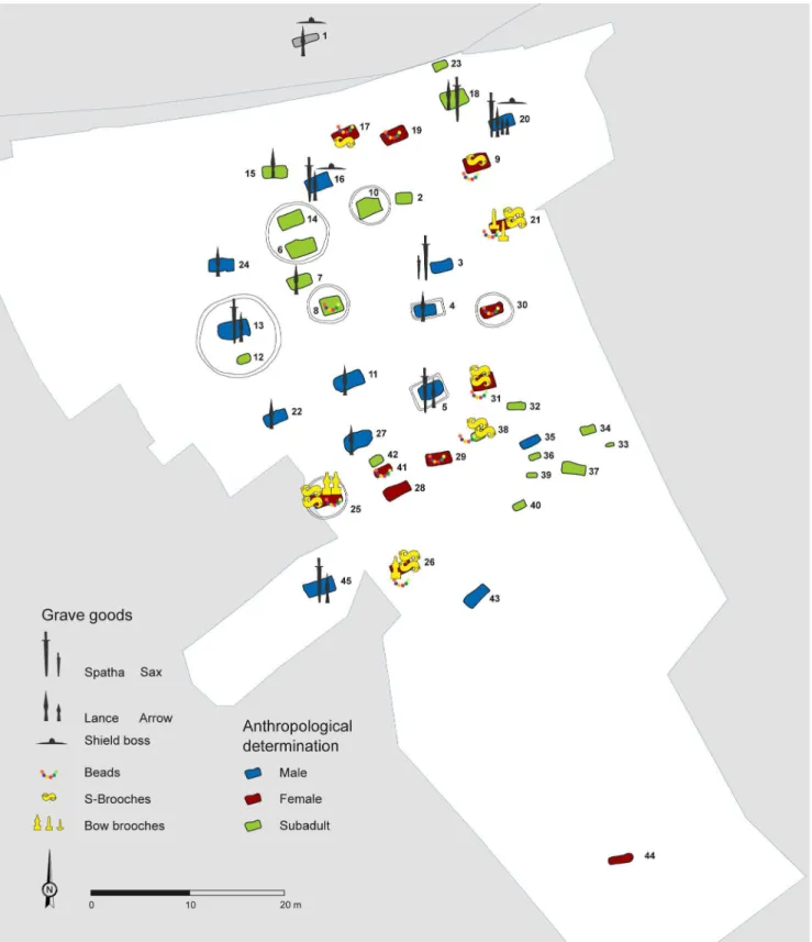 Figure 2. Plan of the cemetery at Szo´la´d with the locations of selected grave goods