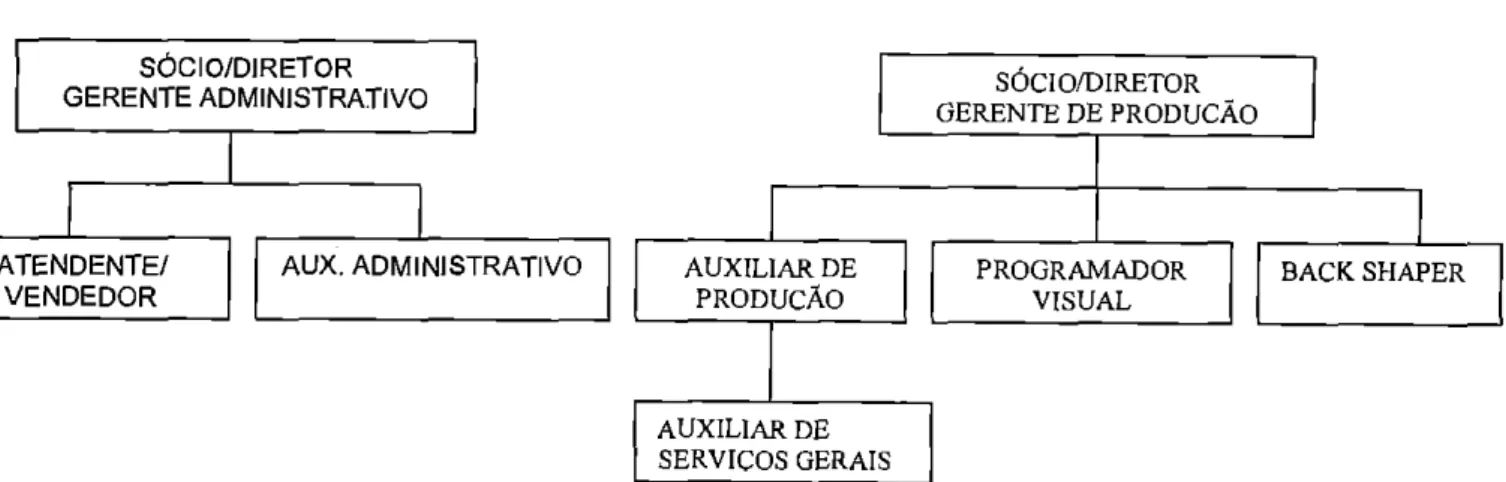 Figura 1: Organograma organizacional 