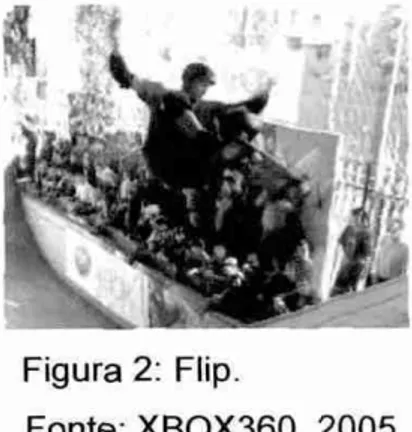 Figura 2: Flip. 