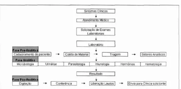 Figura  8 — Fluxo  do Processamento dos Exames 