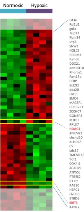 Table 4. Chromatin remodeling complex genes in healthy and disease muscle.