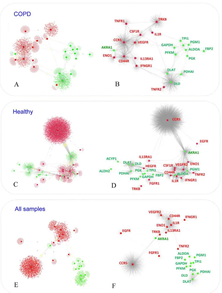 Figure 2. Healthy and COPD specific networks. The figure shows interaction networks built using solely expression profiling data representing healthy (panels A and B) or COPD (panels C and D) muscle biopsy mRNA profiles