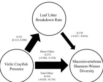 Figure 4. PLS path model of crayfish effects on Shannon- Shannon-Wiener diversity index of macroinvertebrates colonizing leaf litter bags