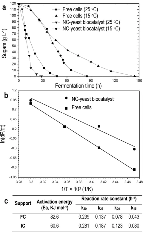 Figure 3. Nano-tubular cellulose (NC) and promotion of the alcoholic fermentation. (a) Fermentation kinetics observed at 25uC and 15uC by free cells and cells immobilised on NC (NC-yeast biocatalyst)