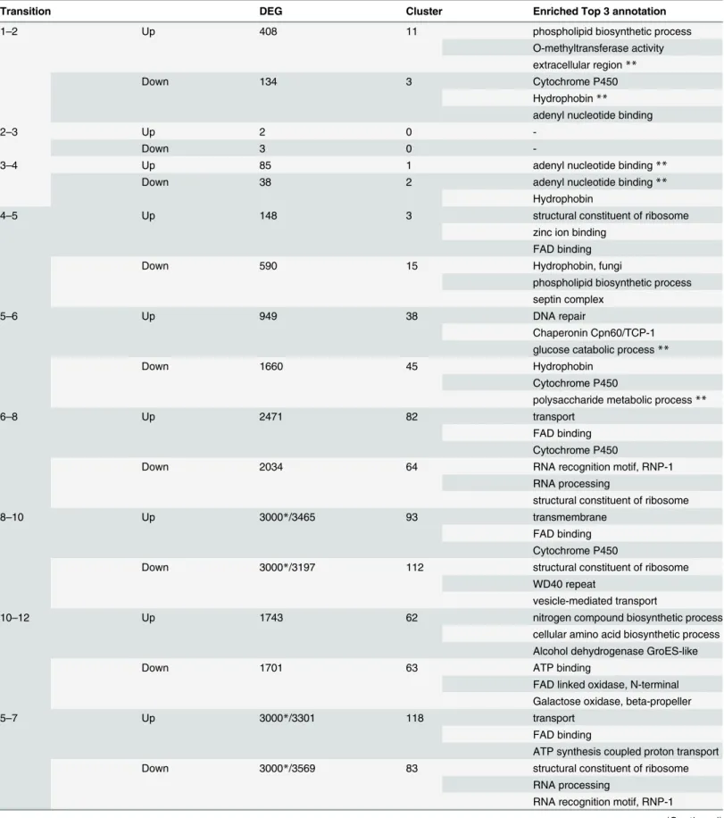 Table 2. GO analysis of DEGs in each transition.