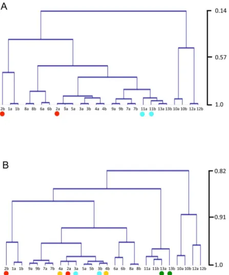 Fig 3. Clustering of samples using RPKM values of sense transcripts. Hierarchical clustering of samples was performed using RPKM values of sense transcripts from all gene models