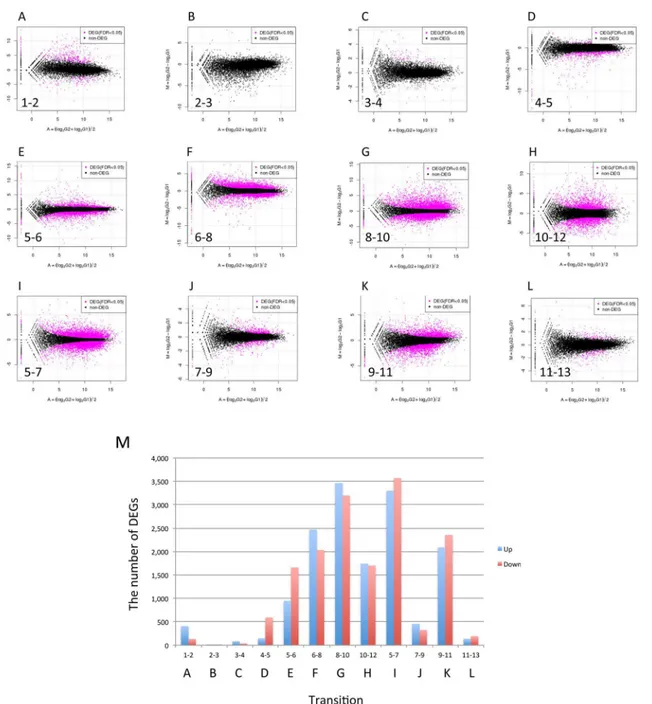 Fig 4. MA plots and change in DEGs for adjacent stages/tissues. (A-L) Forward counts of adjacent stages/tissues were normalized by TCC, which detected DEGs (indicated using red points)