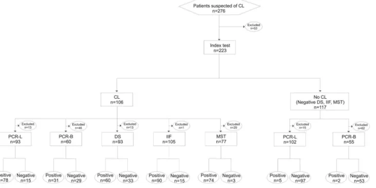 Figure 2. PCR analytical sensitivity, showing 268-bp fragment of human b-globin gene region