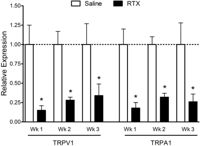 Figure 3. Relative expression levels of TRPV1 and TRPA1 mRNA in trigeminal ganglia following RTX treatment