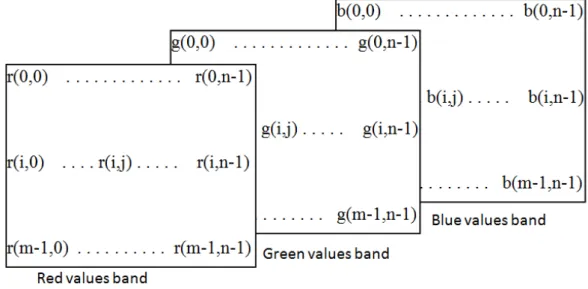 Fig. 2. The decomposition of one image into three bands, represented in RGB  Considering  the  terminology  used  by  the 