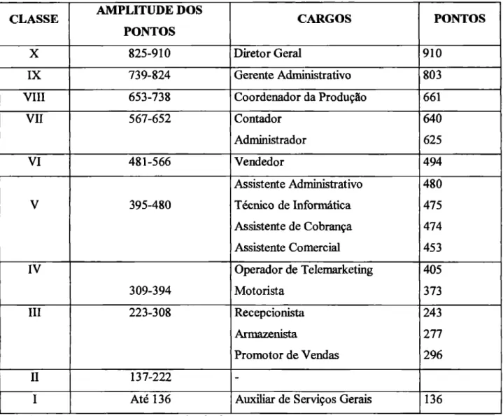 Tabela  06: Distribuição  dos cargos da  Fitofarma  em classes. 