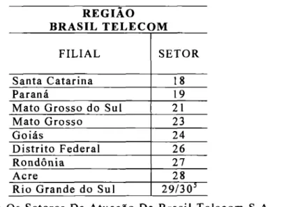 Tabela  2:  Os Setores De  Atuação  Da Brasil Telecom S.A. 
