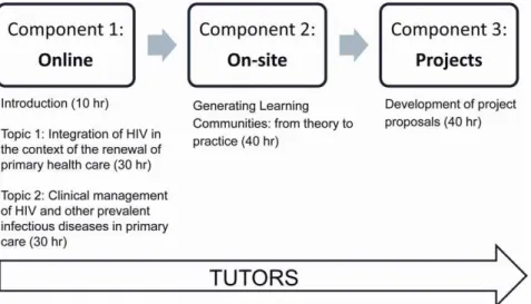 Figure 1. Educational Strategy. The curriculum focused on principles of HIV care and health systems using a tutor-supported blended educational approach of an 8-week online component, a weeklong on-site problem-solving workshop, and individualized project-