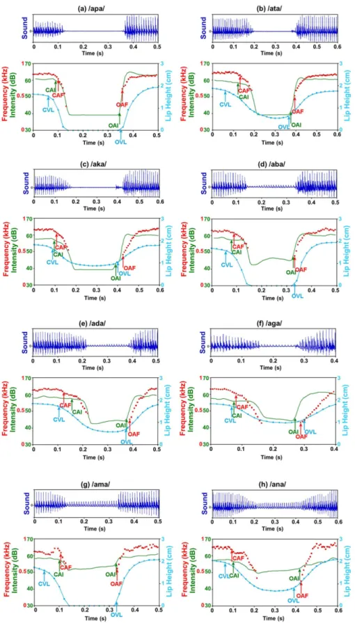 Figure 6. Acoustic signal (top panel), intensity in green, lip height in blue and formants in red for the 8 chained sequences