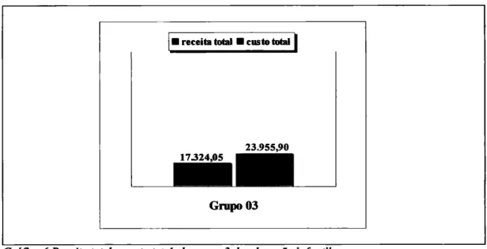 Gráfico   6  Receita total  x  custo total do grupo  3  da  educação  infantil  Fonte: dados da pesquisa 