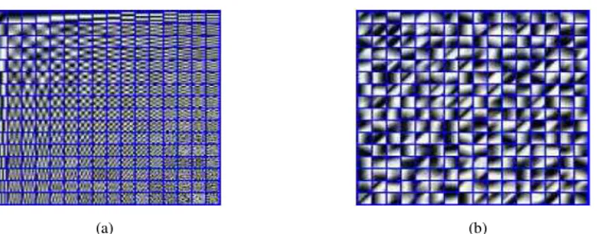 Figure 1. Example of trained dictionaries (size 64 × 256) for (a) Non-uniform blurred (kernel f 2 [20]) and noisy image,  σ = 0.5 and (b) Uniform motion blurred and noisy image,  σ = 1.5