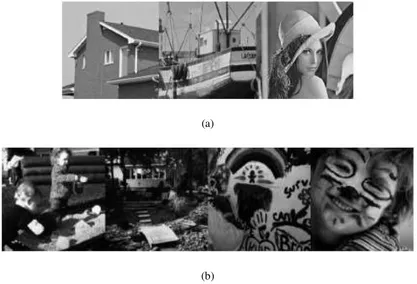 Figure 2. Example of test images (a) house, boat and lena, (b) test images collected from [20] 