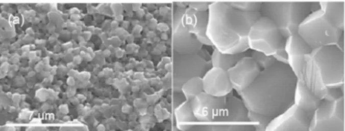 Fig. 4. SEM micrographs of polished surface of sintered specimens made from powder 1# 
